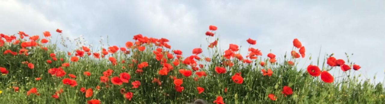 فندق Le Jardin Aspiran المظهر الخارجي الصورة