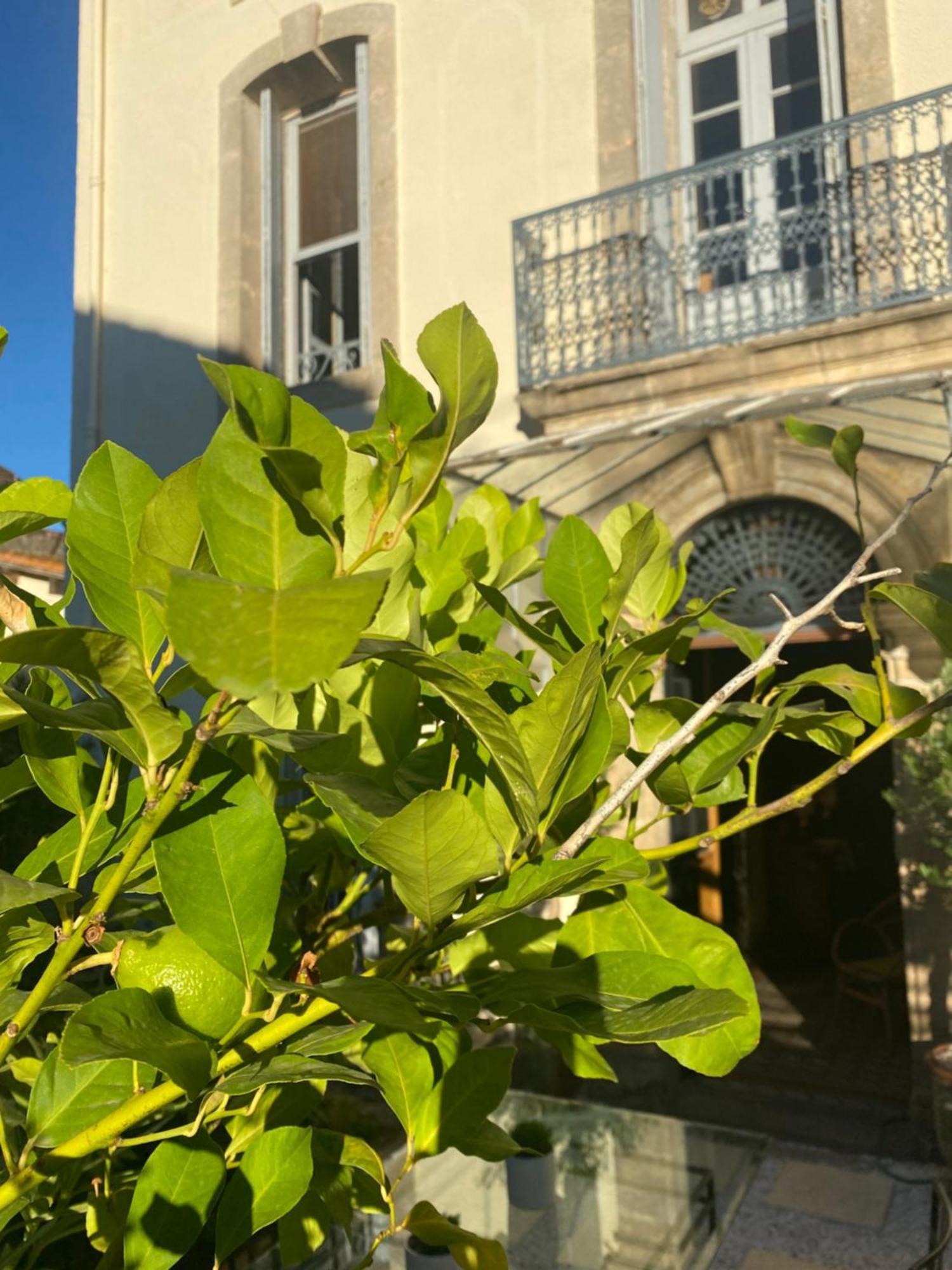 فندق Le Jardin Aspiran المظهر الخارجي الصورة